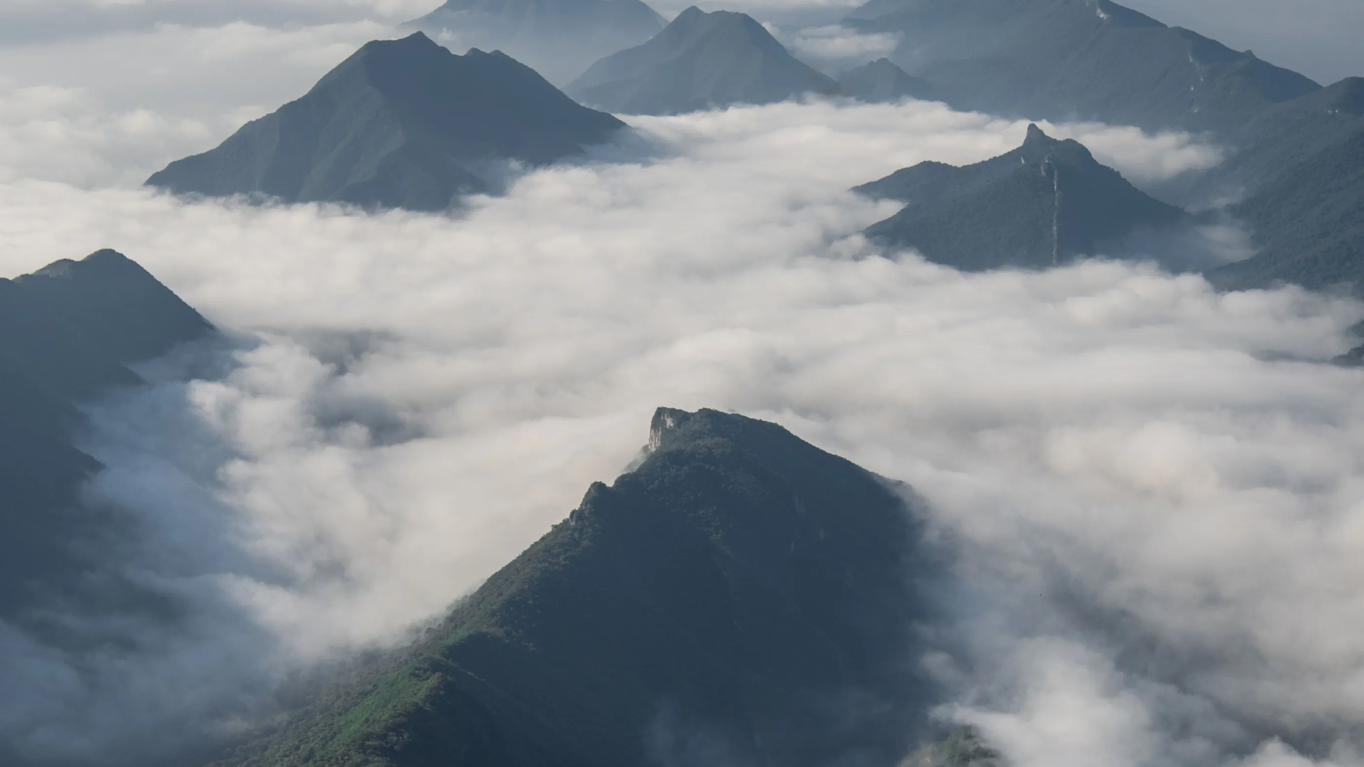 Mar de nubes entre las cumbres de la Sierra Madre Oriental, Nuevo León
