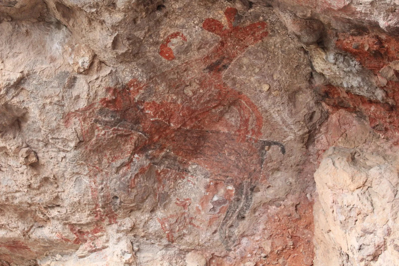 Tour de Arqueología y Pinturas Rupestres en la Sierra de San Francisco