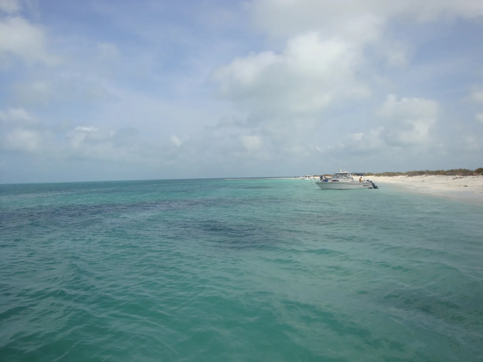 Aventura Subacuática de Snorkel en Arrecife Alacranes