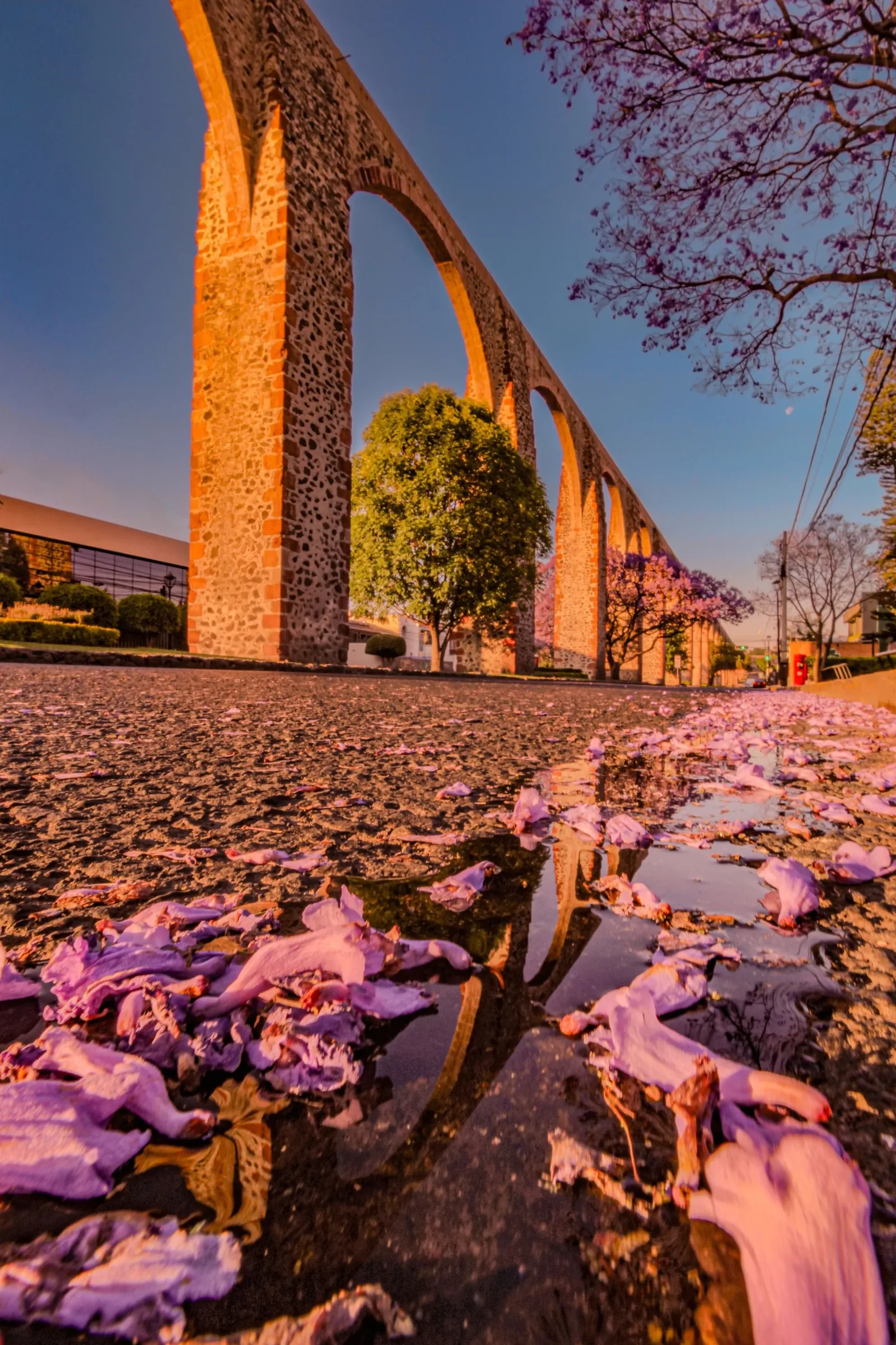 Tour Histórico y Arquitectónico por el Centro de Querétaro