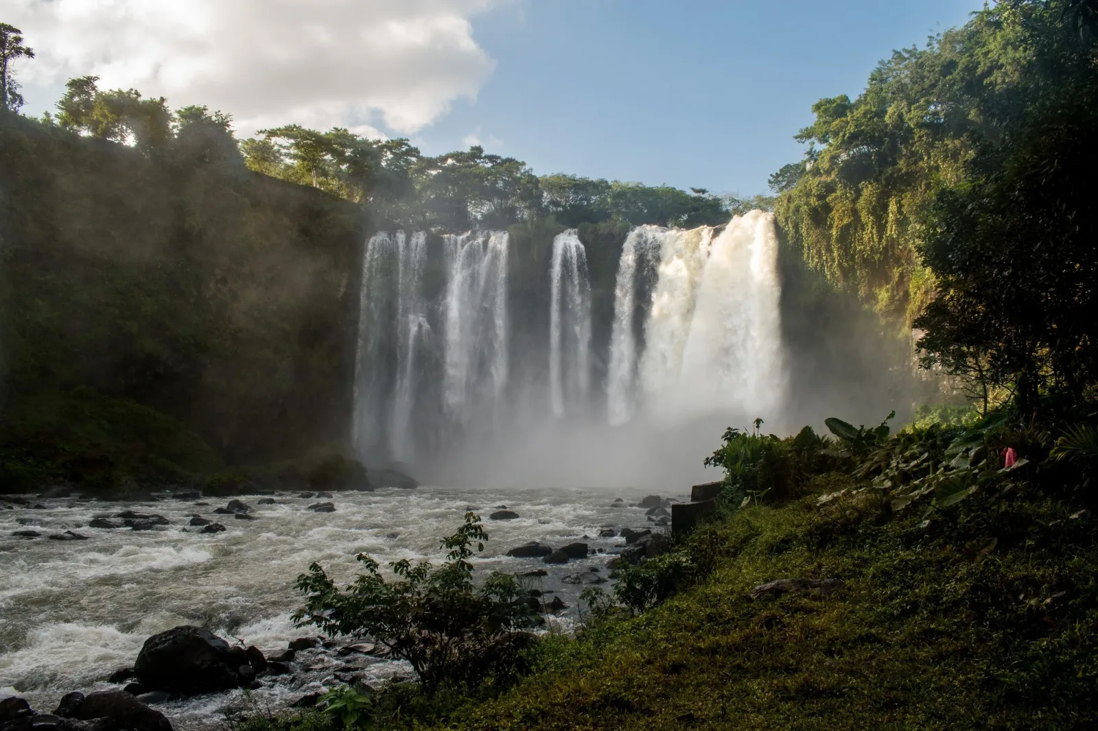 Caminata Ecológica por la Reserva de la Biosfera Los Tuxtlas
